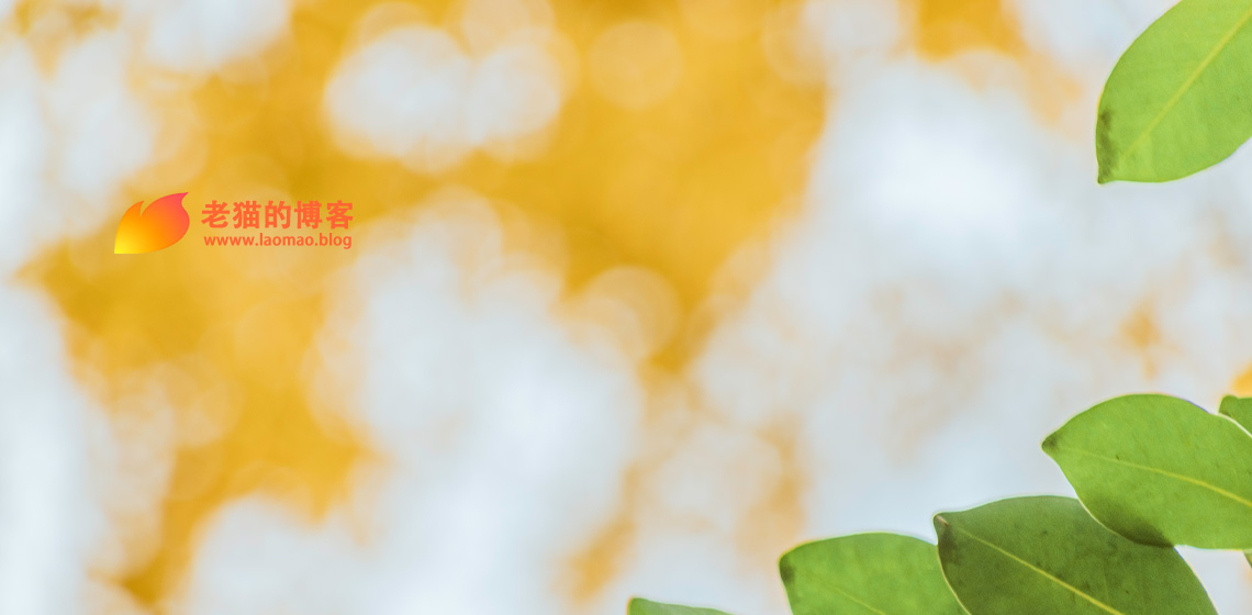 写在2025年第一个月