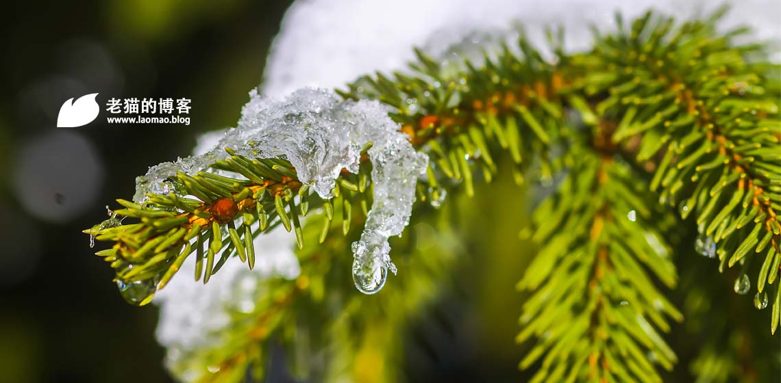 一季度考核任务基本上完成