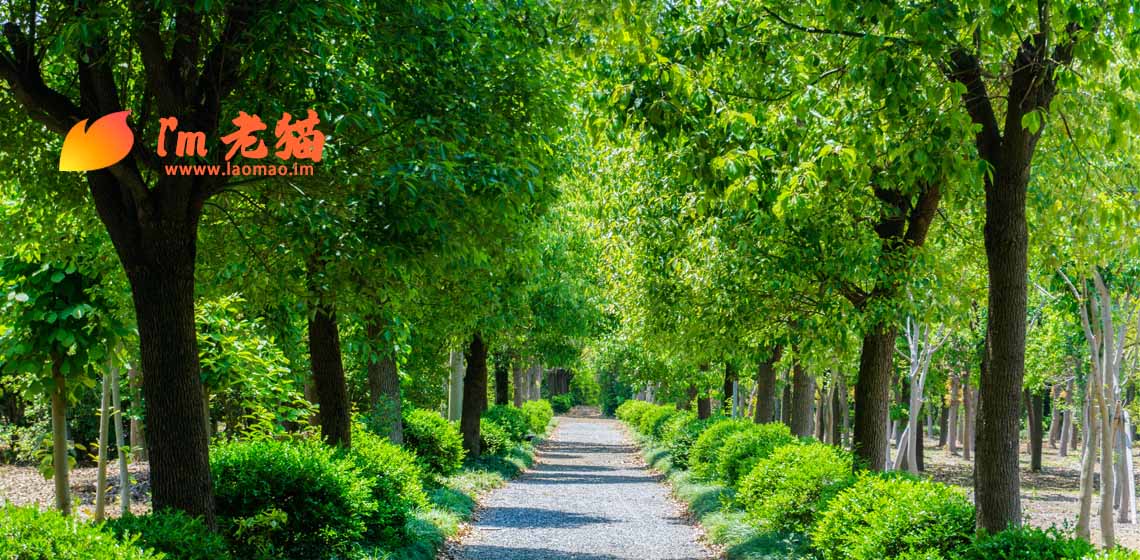 把Laomao.net域名收归囊中