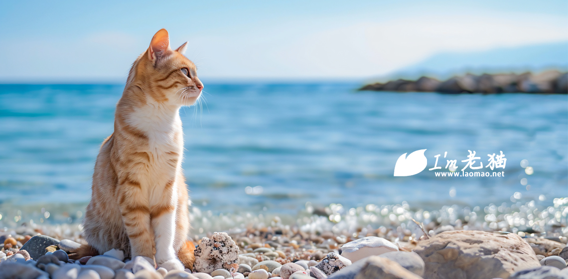 不断增加的支出与收入锐减之间的矛盾