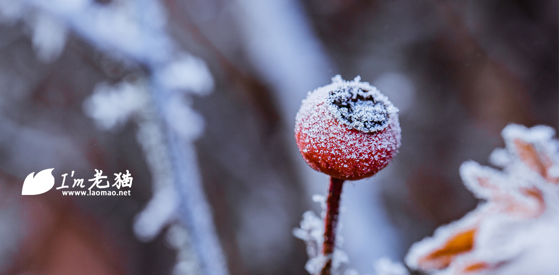 OTC的工作将于本月底结束